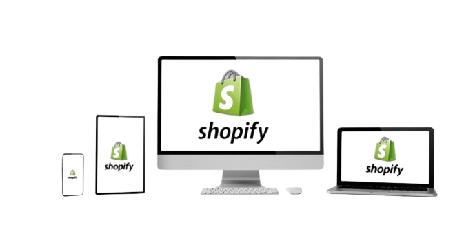 Site web Shopify img 1810 removebg preview